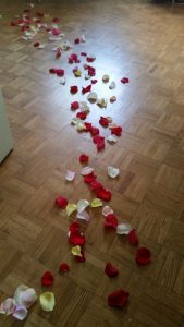 Petales_Terre_Resized