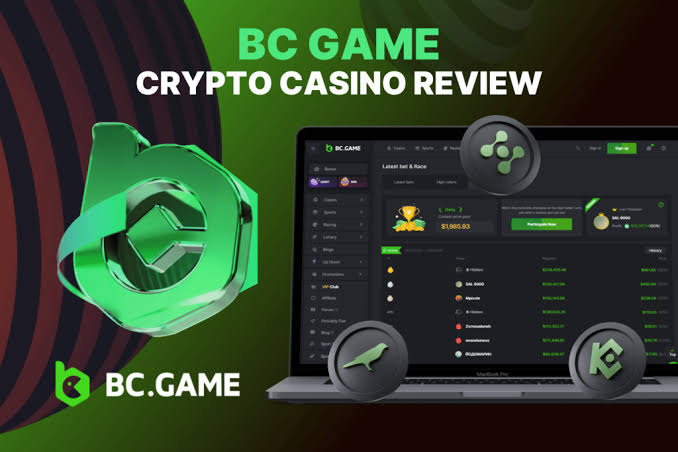 Unlocking Rewards A Comprehensive Guide to BC.Game Bonus Codes